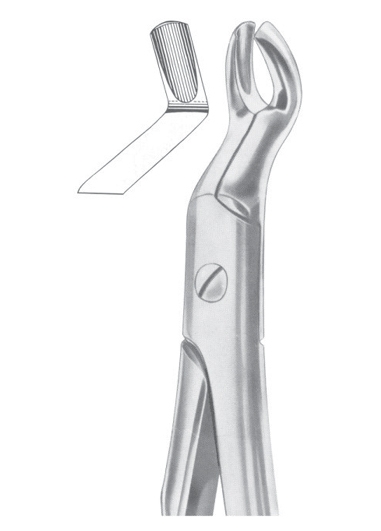 Extracting Forceps English Pattern